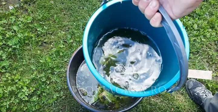 când se fertilizează îngrășăminte utile