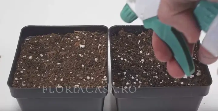 Alegerea pamintului selectarea solului