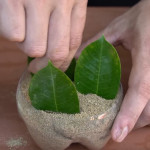 Ajutor