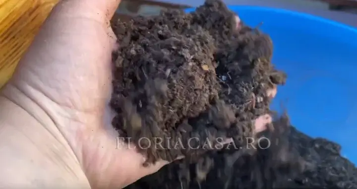 Examinarea calității solului sol fertil, bogat în nutrienți